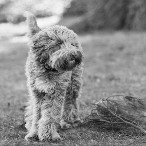 Meet your Posher, Rilet